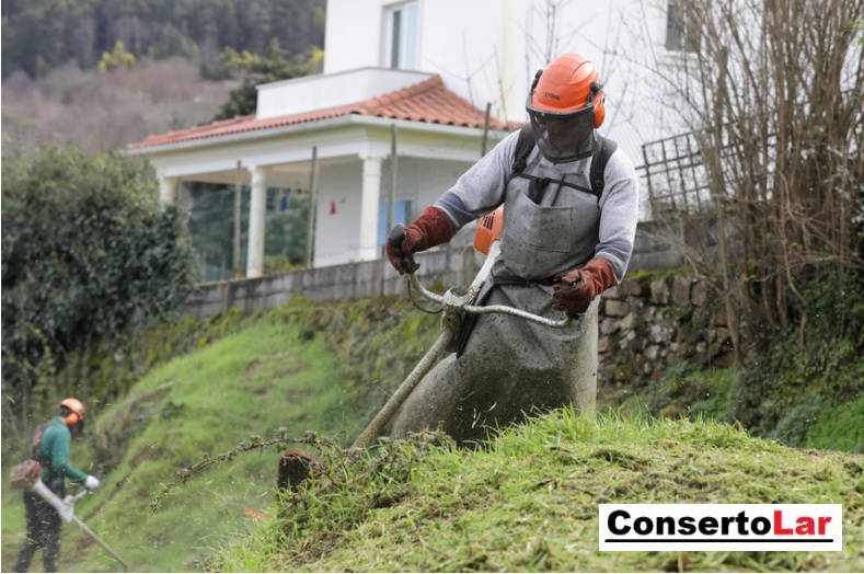 limpeza-de-terrenos-e-patios-Corte-de-Grama-em-Porto-Alegre-zona-norte-