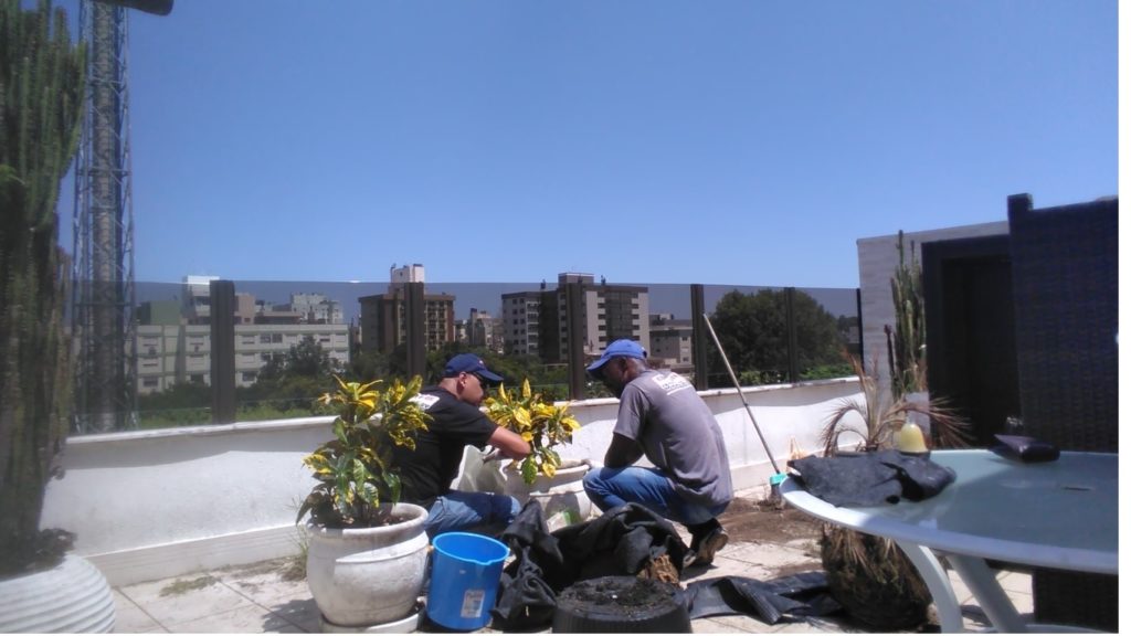 Consertolar-Serviço-de-Jardinagem-e-Plantio-de-mudas-e-Plantas-em-porto-alegre.-1-1024x576