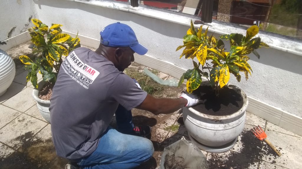 serviços-de-adubagem-e-jardinagem-residencial-consertolar-portoalegre-1-1-1024x576